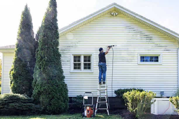 Best Sidewalk and Walkway Pressure Cleaning in Moosic, PA